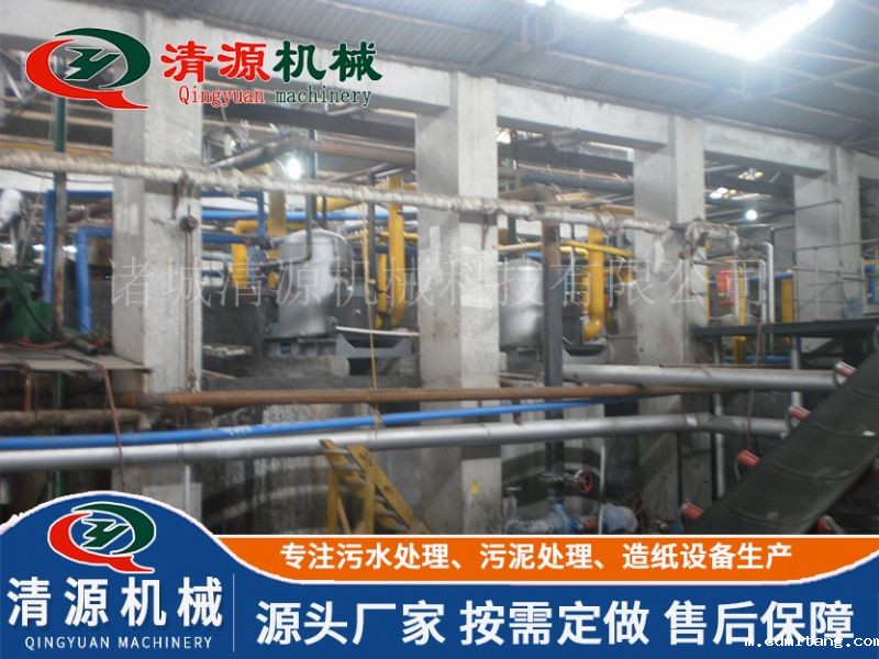 乐山绿果林纸业有限公司压力筛造纸项目